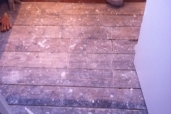Hphoto 1